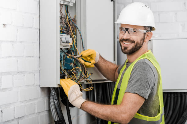 Best Electric Panel Repair  in Scandia, MN