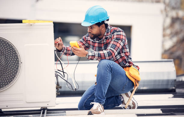 Best Electric Panel Repair  in Scandia, MN